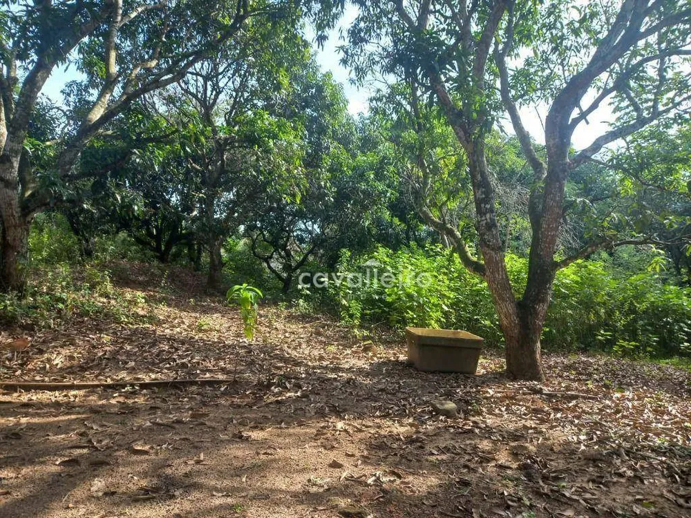 Sítio, 2 quartos, 3 hectares - Foto 38