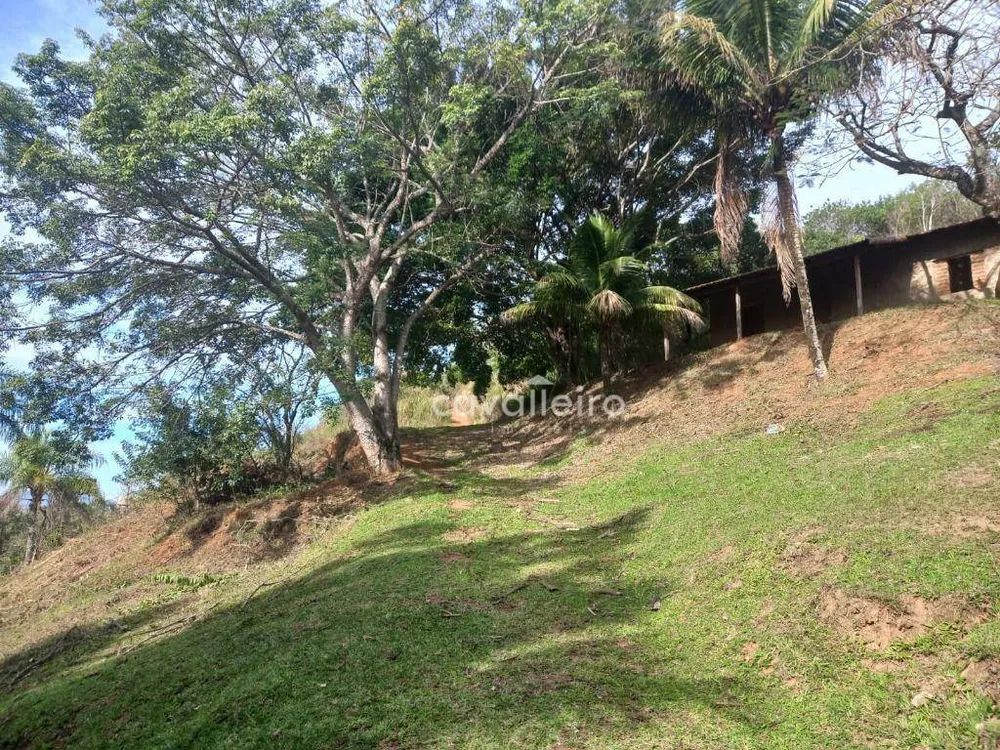 Sítio, 2 quartos, 3 hectares - Foto 13