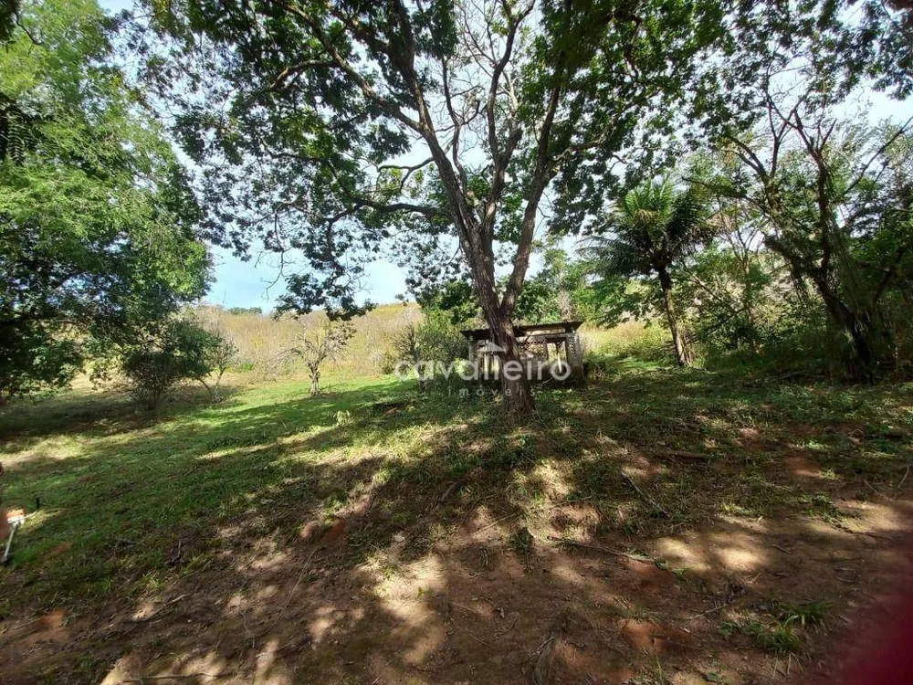 Sítio, 2 quartos, 3 hectares - Foto 33