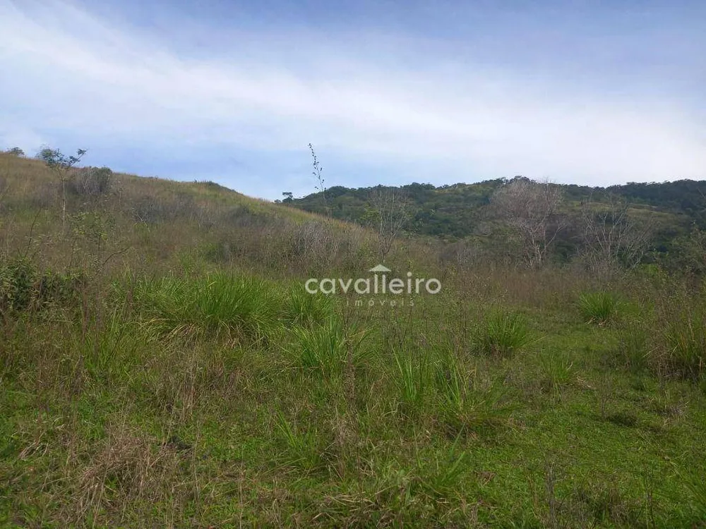 Sítio, 2 quartos, 3 hectares - Foto 3
