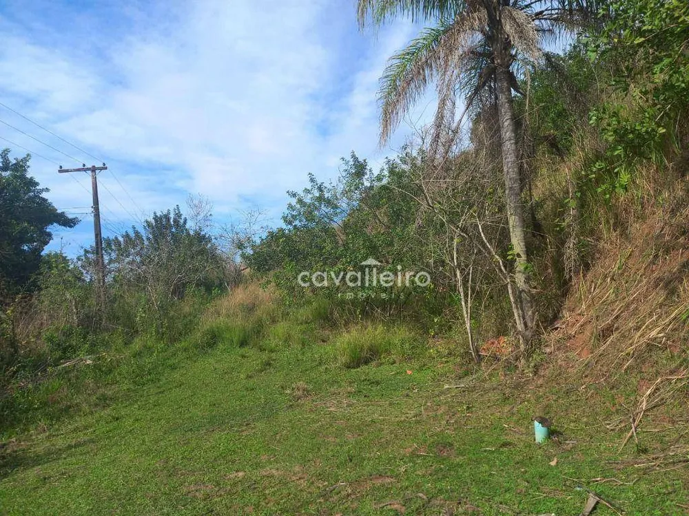 Sítio, 2 quartos, 3 hectares - Foto 44