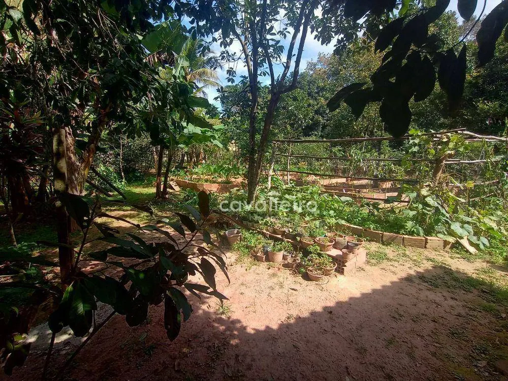 Casa, 3 quartos, 178 m² - Foto 36