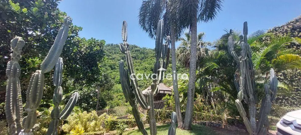 Chácara, 13 quartos, 1 hectares - Foto 116