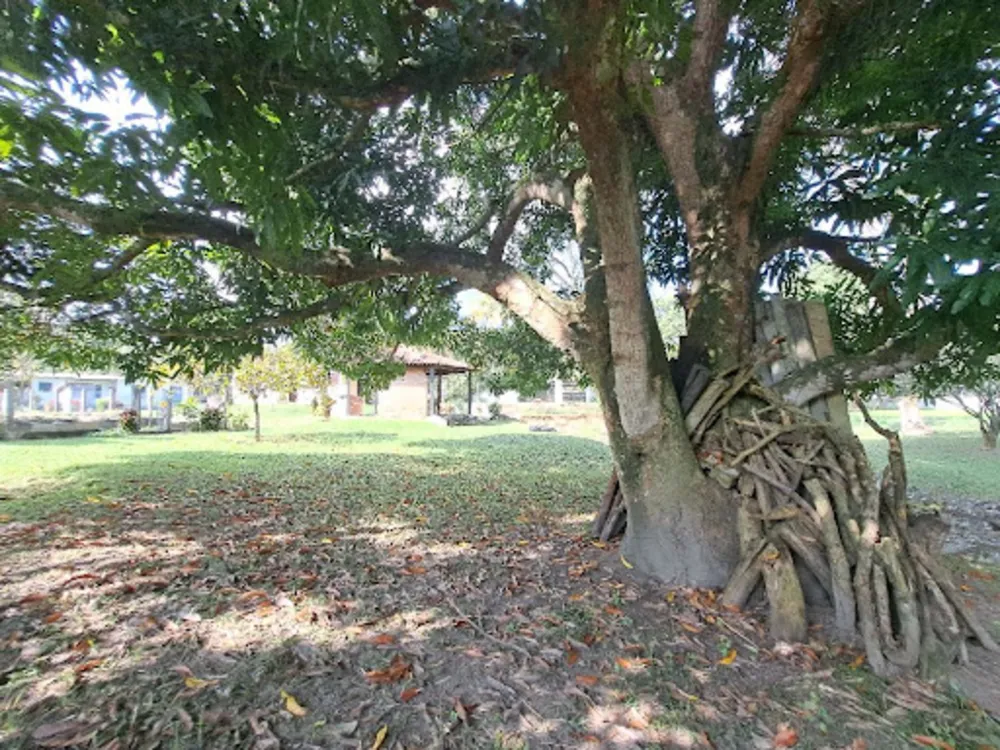 Terreno, 2 m² - Foto 39