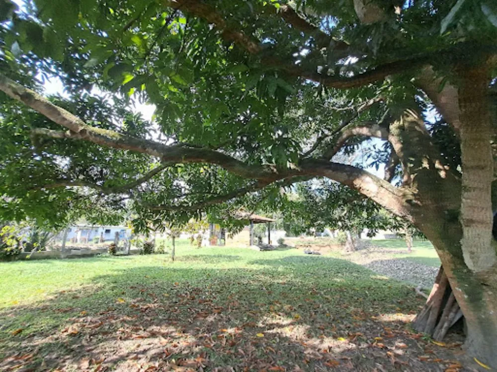 Terreno, 2 m² - Foto 23