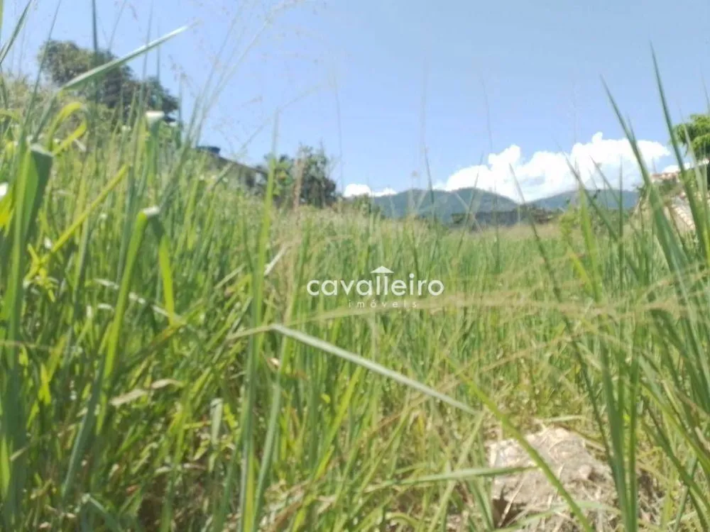 Terreno, 360 m² - Foto 9