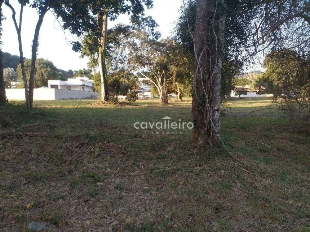 Loteamento e Condomínio, 600 m² - Foto 3