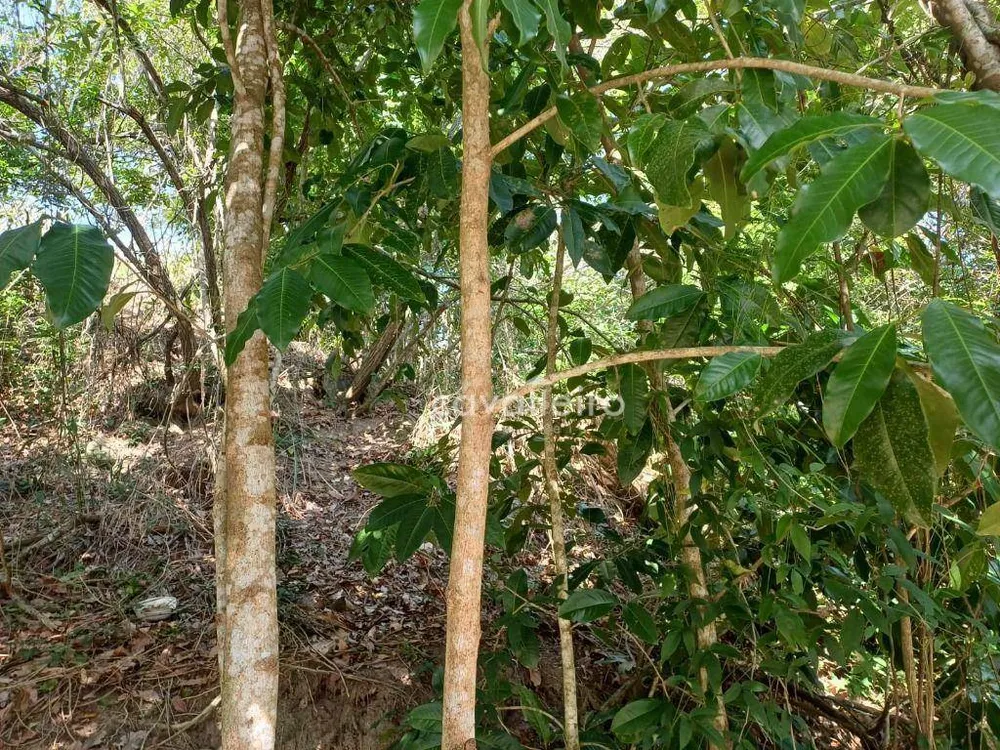 Loteamento e Condomínio, 923 m² - Foto 5