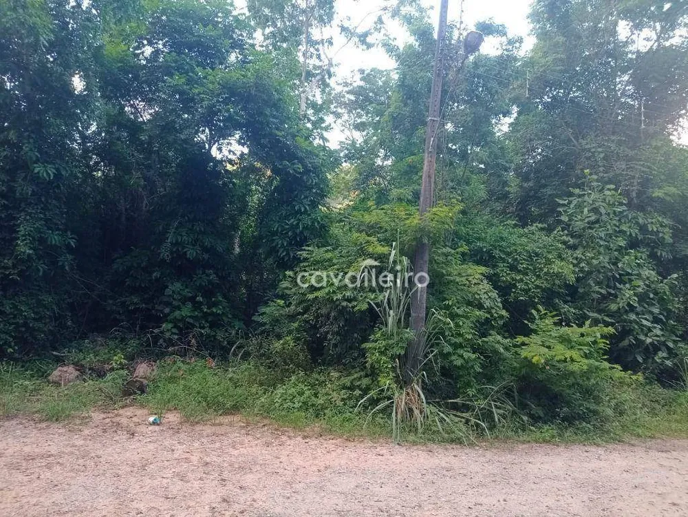 Terreno, 1293 m² - Foto 3