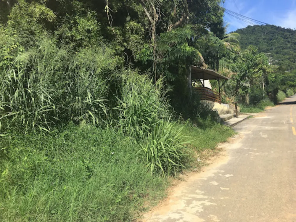 Terreno, 450 m² - Foto 1