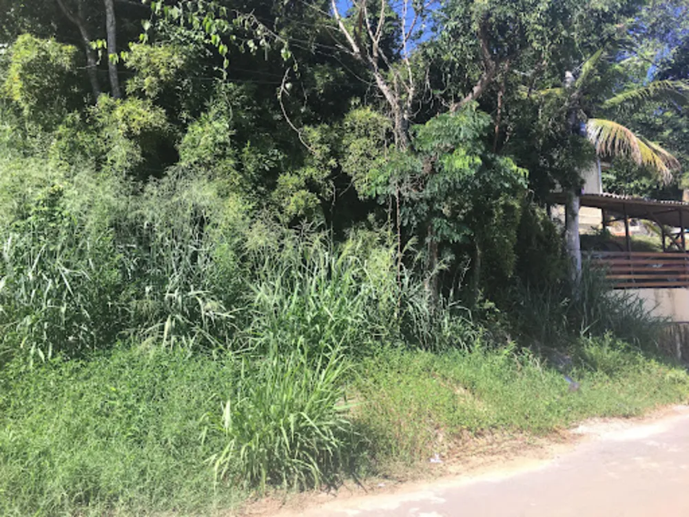 Terreno, 450 m² - Foto 2