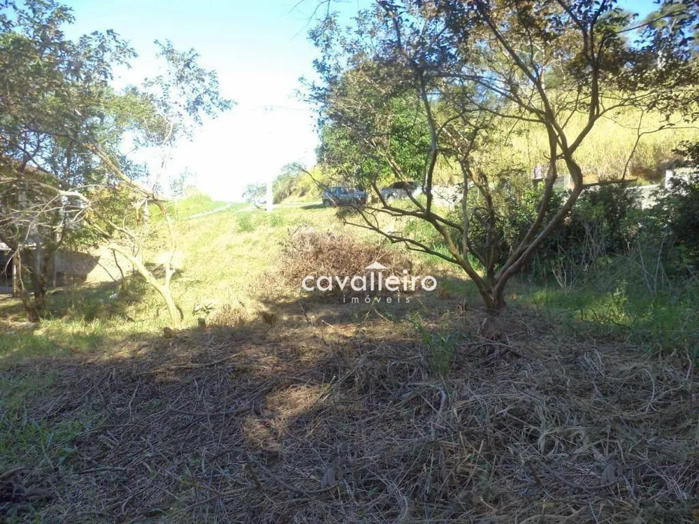 Loteamento e Condomínio, 625 m² - Foto 2
