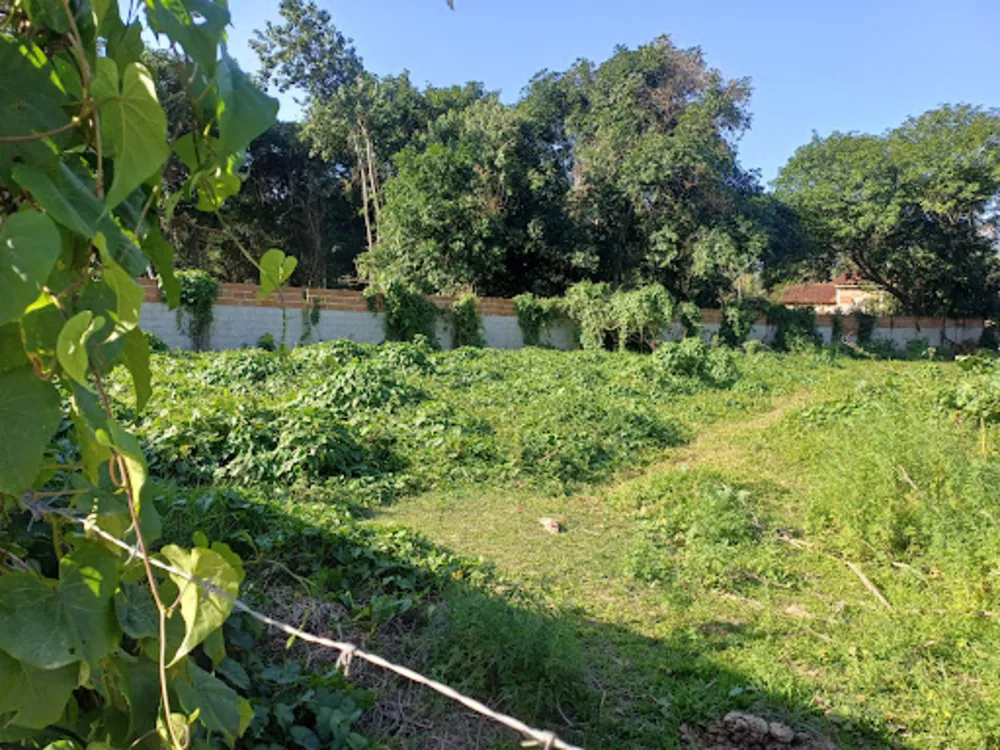 Terreno, 1664 m² - Foto 5