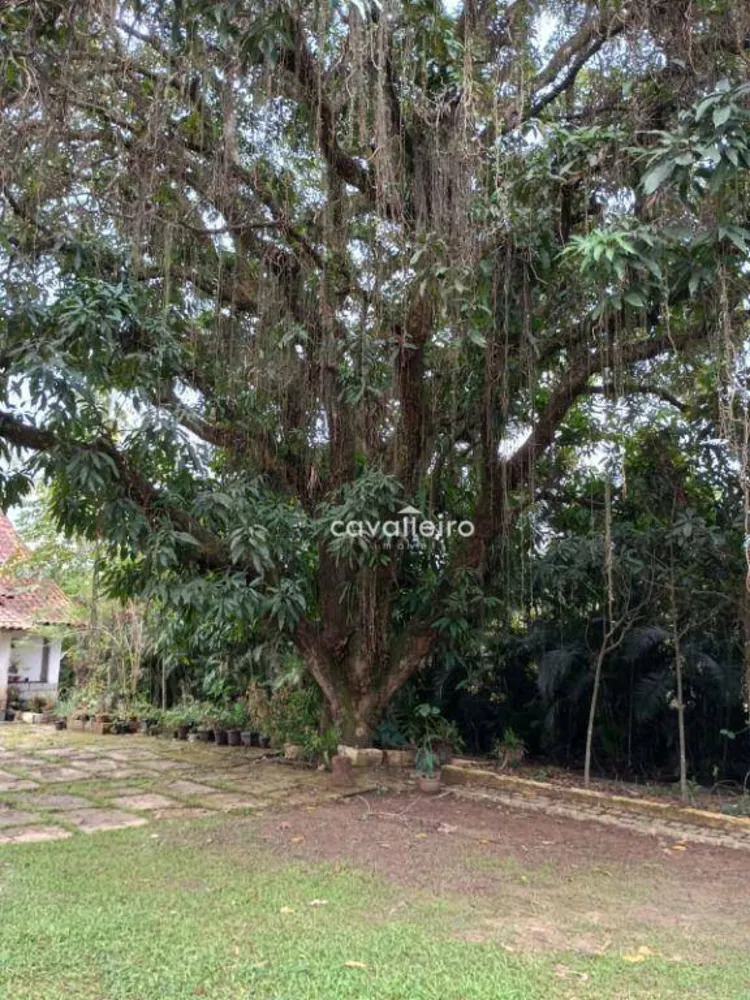 Chácara, 6 quartos, 2290 m² - Foto 44