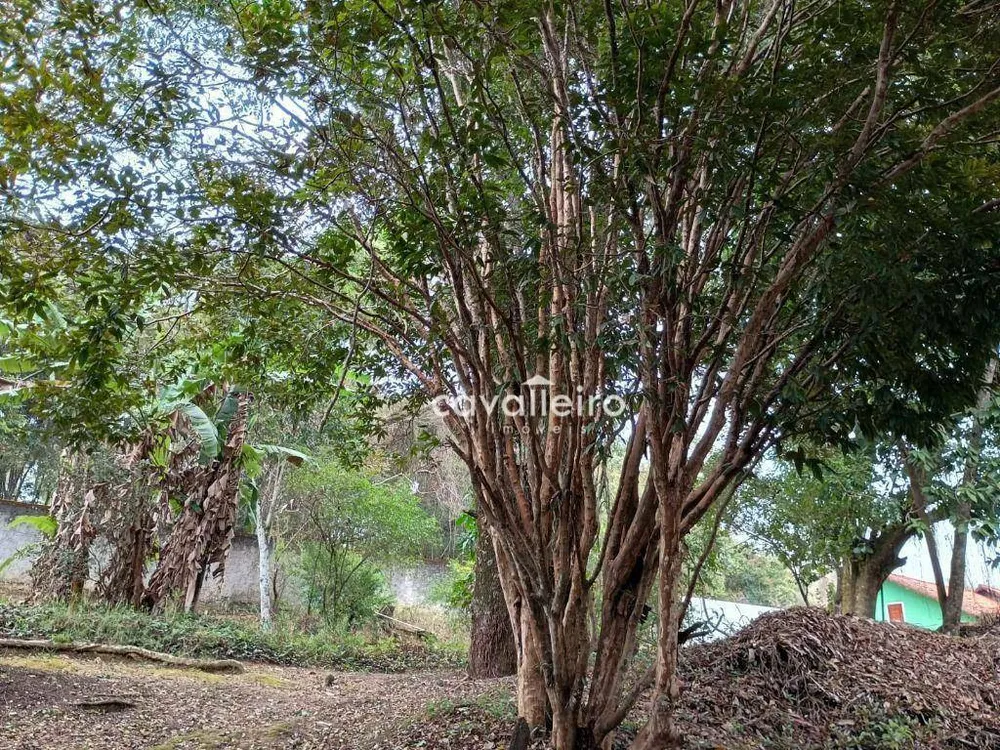 Chácara, 6 quartos, 2290 m² - Foto 43