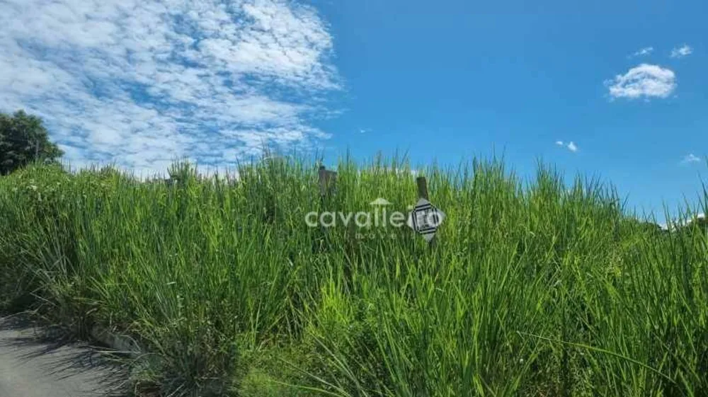 Terreno, 504 m² - Foto 2