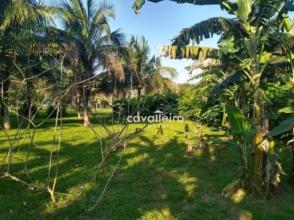 Terreno, 2567 m² - Foto 4