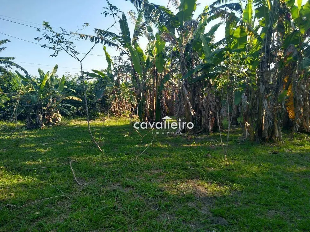 Terreno, 2567 m² - Foto 3
