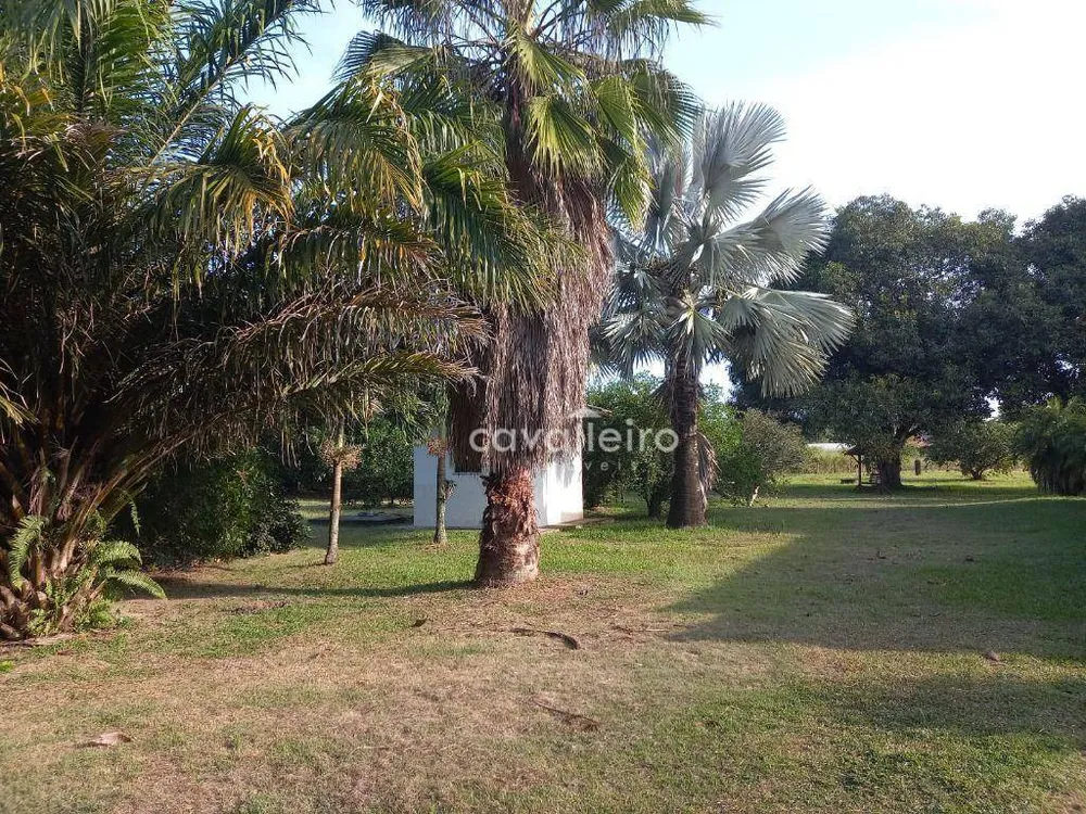 Chácara, 3 quartos, 6478 m² - Foto 9