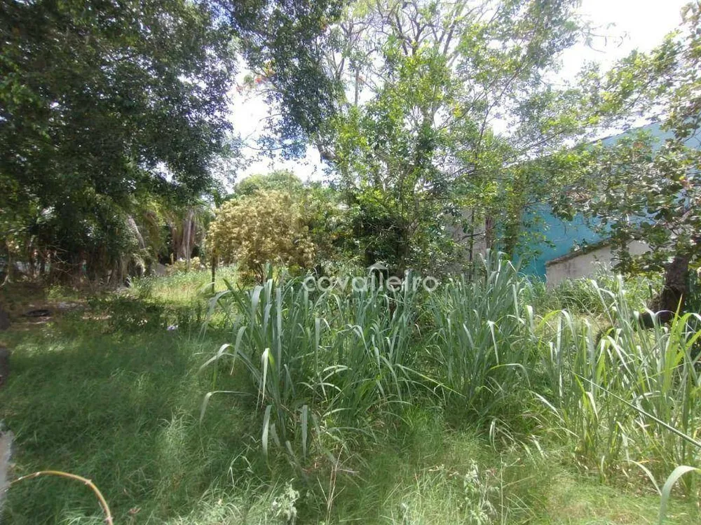 Terreno, 2435 m² - Foto 7