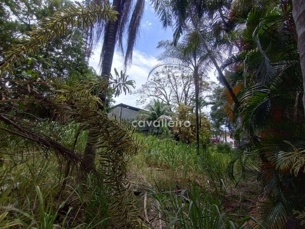 Terreno, 2435 m² - Foto 6