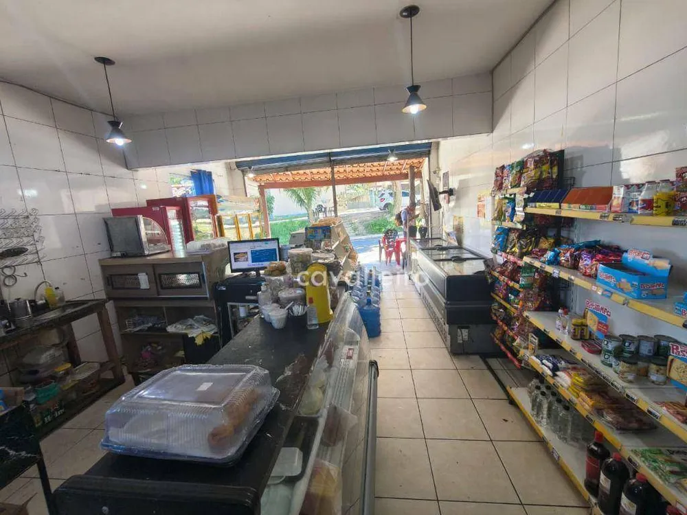 Casa, 3 quartos, 400 m² - Foto 30