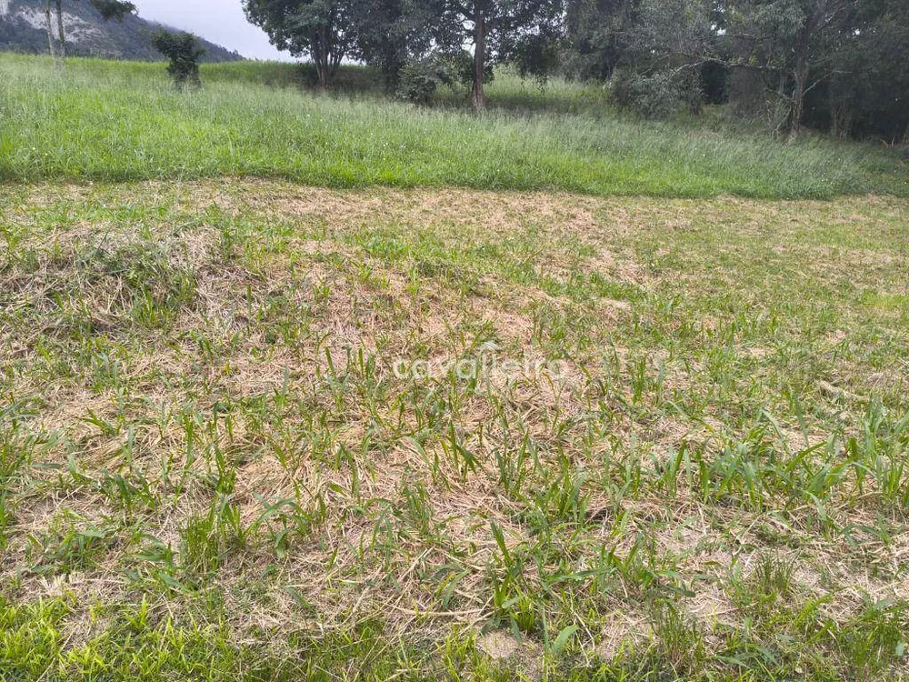 Loteamento e Condomínio, 606 m² - Foto 5