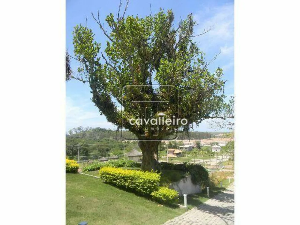 Loteamento e Condomínio, 360 m² - Foto 40