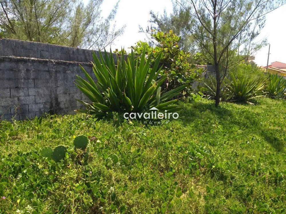 Terreno, 3900 m² - Foto 3