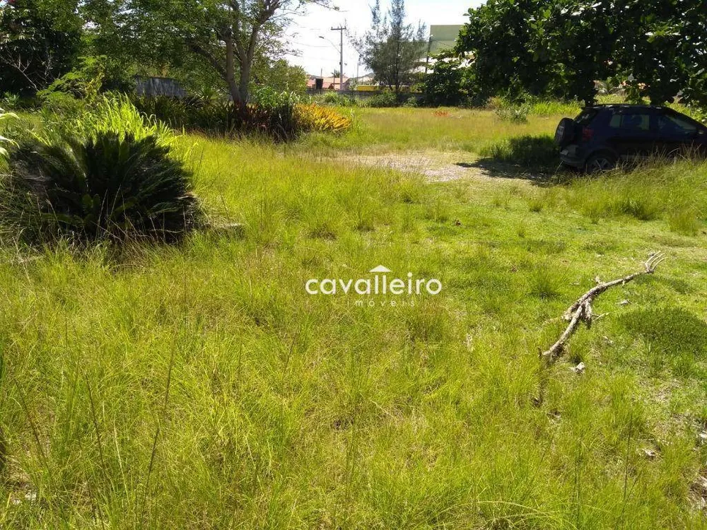 Terreno, 3900 m² - Foto 13