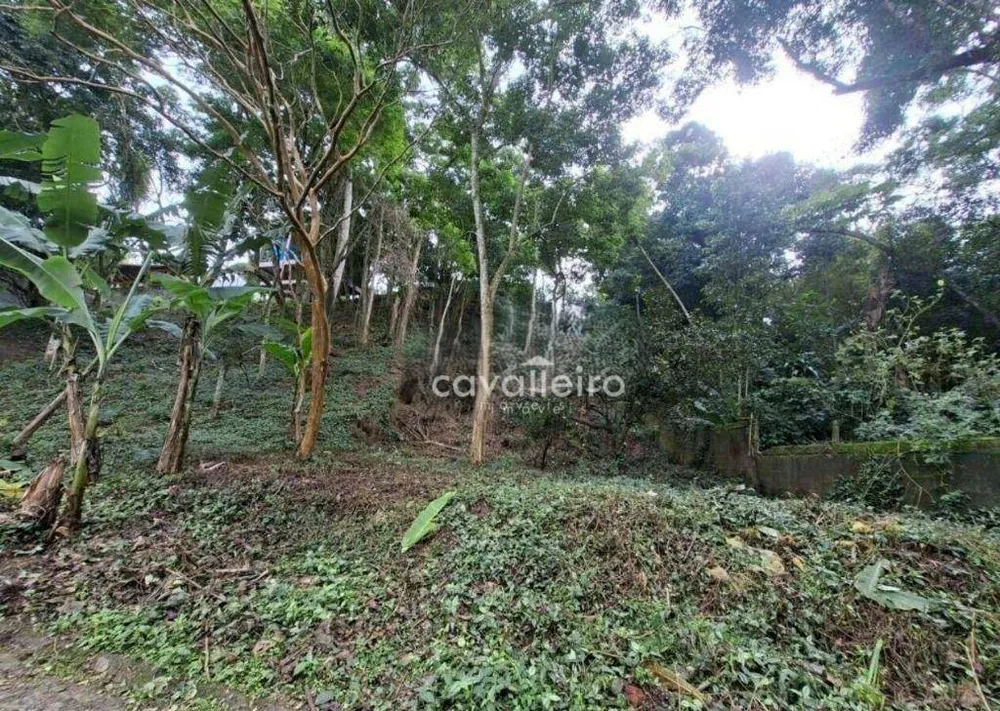 Loteamento e Condomínio, 471 m² - Foto 2