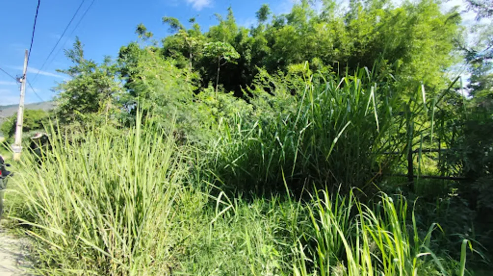 Terreno, 1050 m² - Foto 6