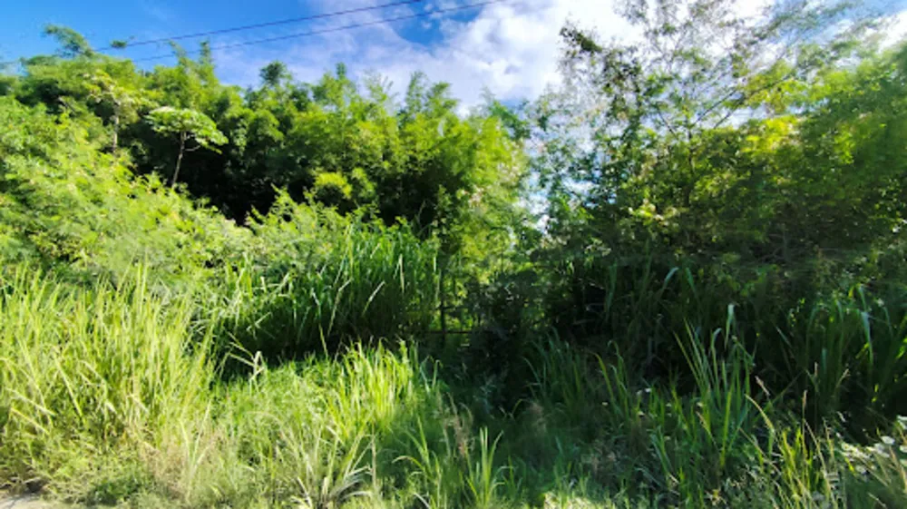 Terreno, 1050 m² - Foto 4