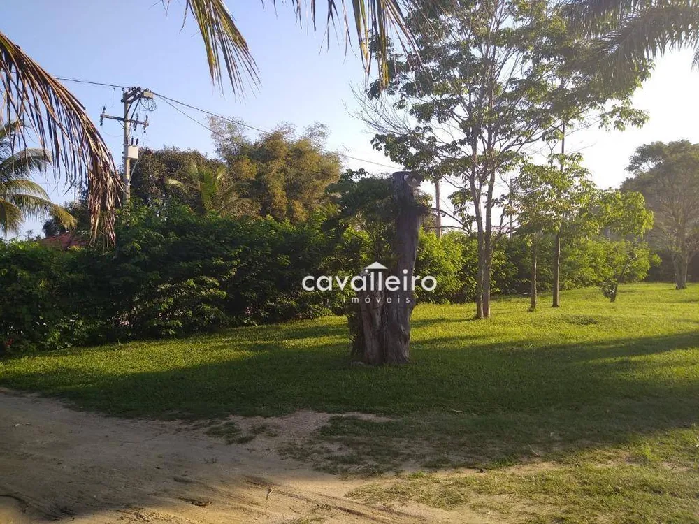 Chácara, 4 quartos, 4146 m² - Foto 19