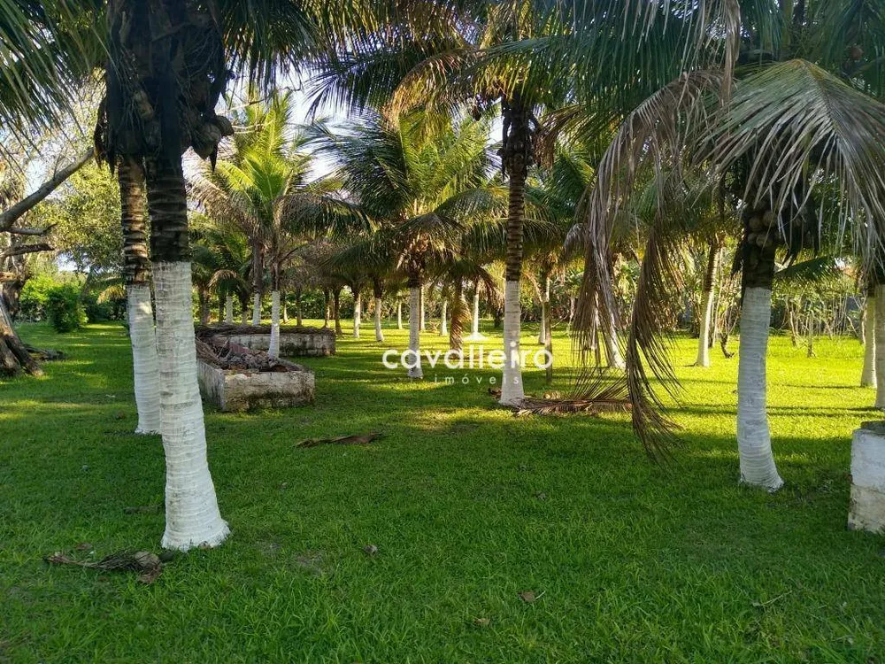 Chácara, 4 quartos, 4146 m² - Foto 8