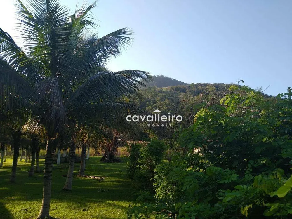 Chácara, 4 quartos, 4146 m² - Foto 7