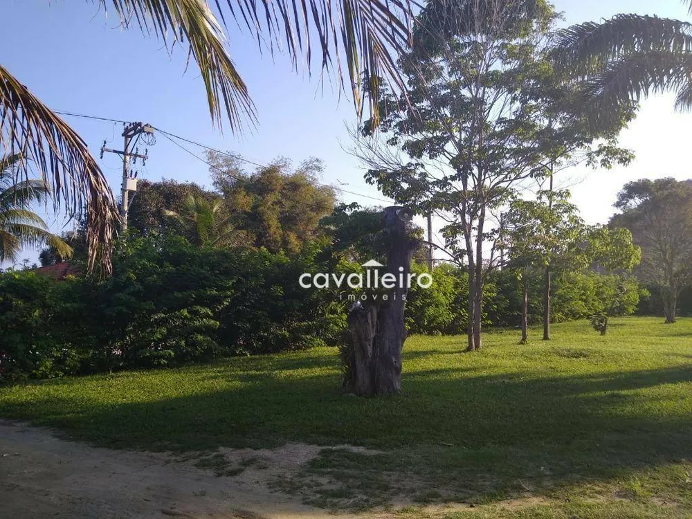 Chácara, 4 quartos, 4146 m² - Foto 18