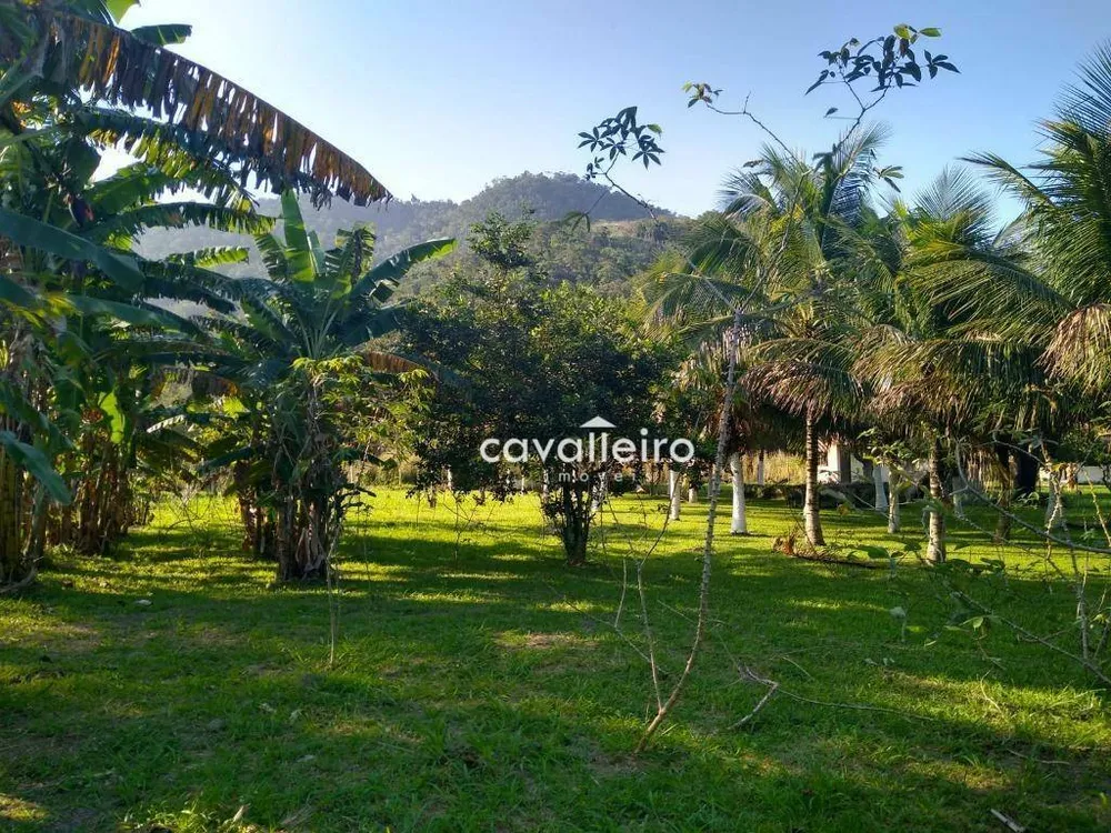 Chácara, 4 quartos, 4146 m² - Foto 10