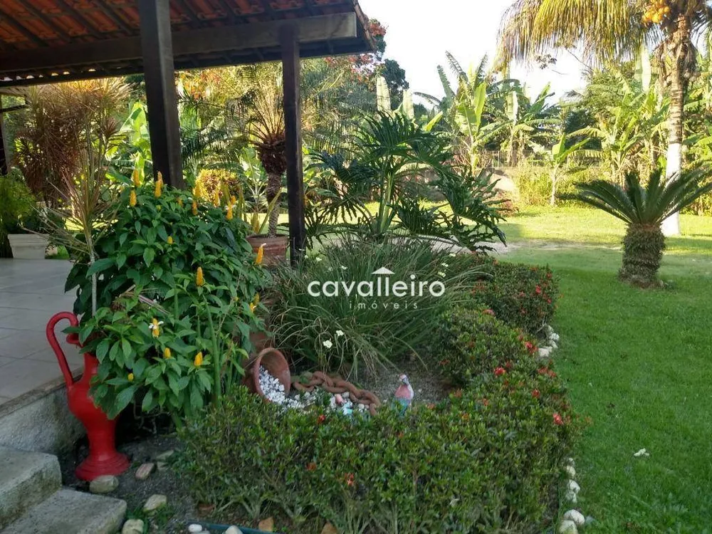 Chácara, 4 quartos, 4146 m² - Foto 5