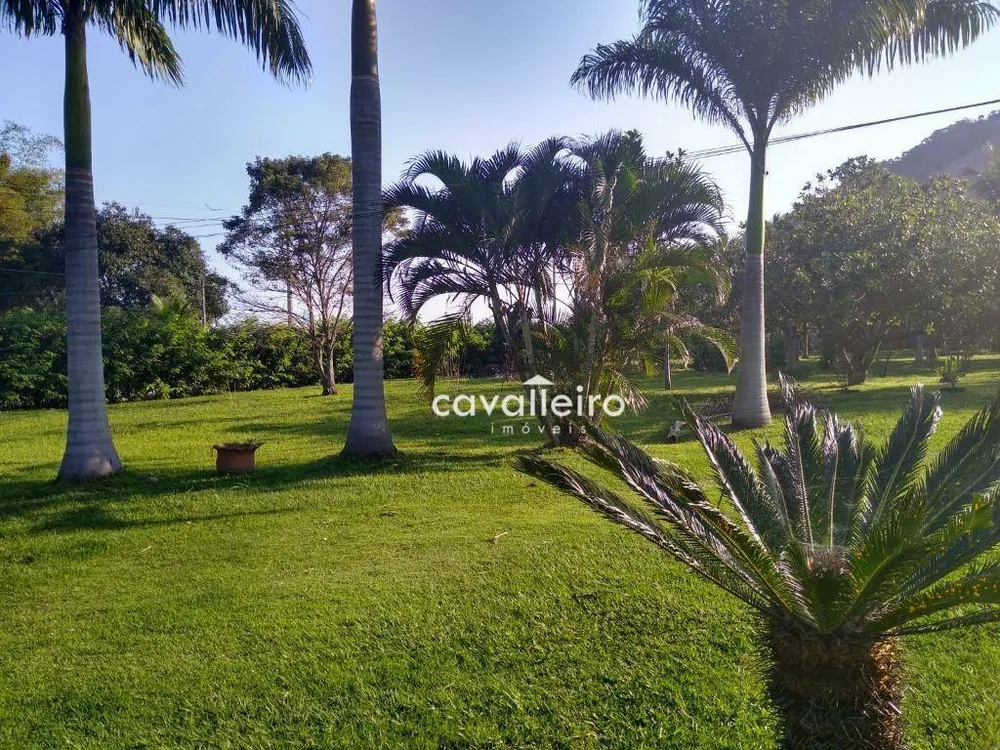 Chácara, 4 quartos, 4146 m² - Foto 25