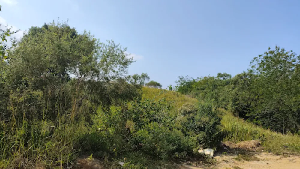 Terreno, 450 m² - Foto 7
