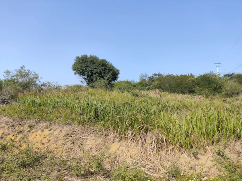 Terreno, 450 m² - Foto 5