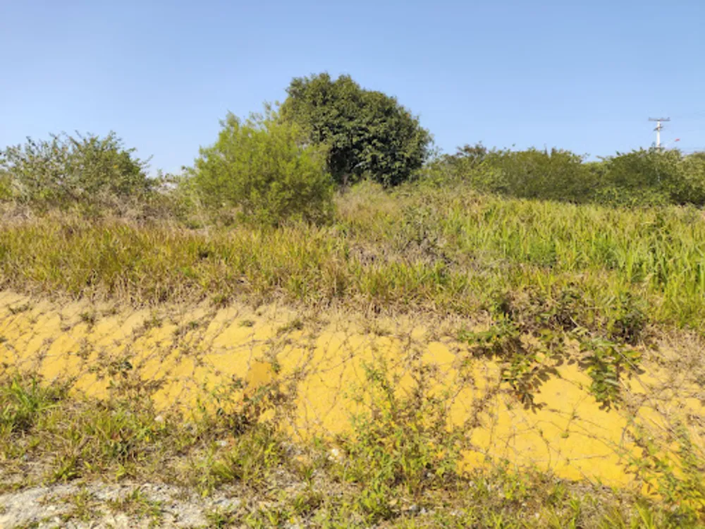 Terreno, 450 m² - Foto 10