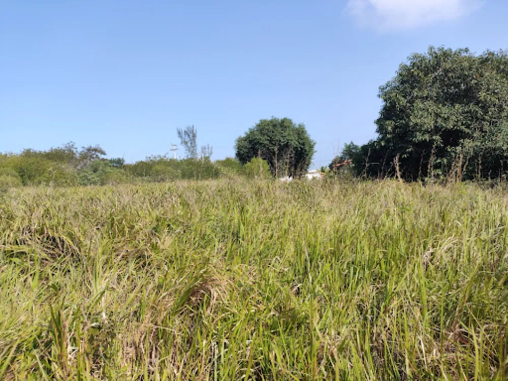 Terreno, 450 m² - Foto 6