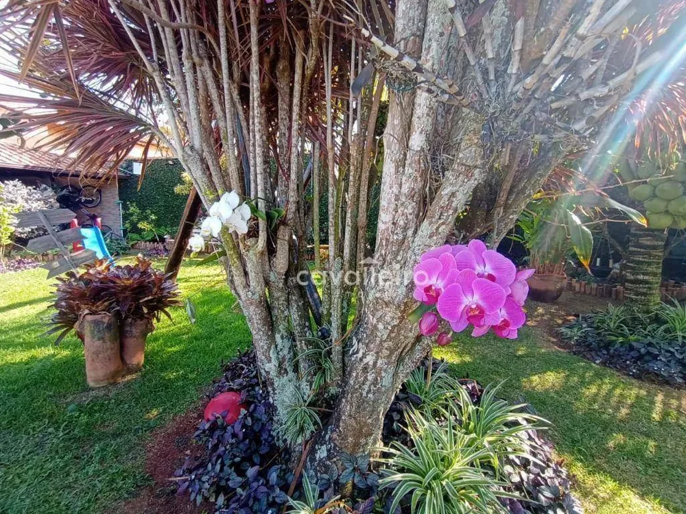 Casa, 3 quartos, 314 m² - Foto 48