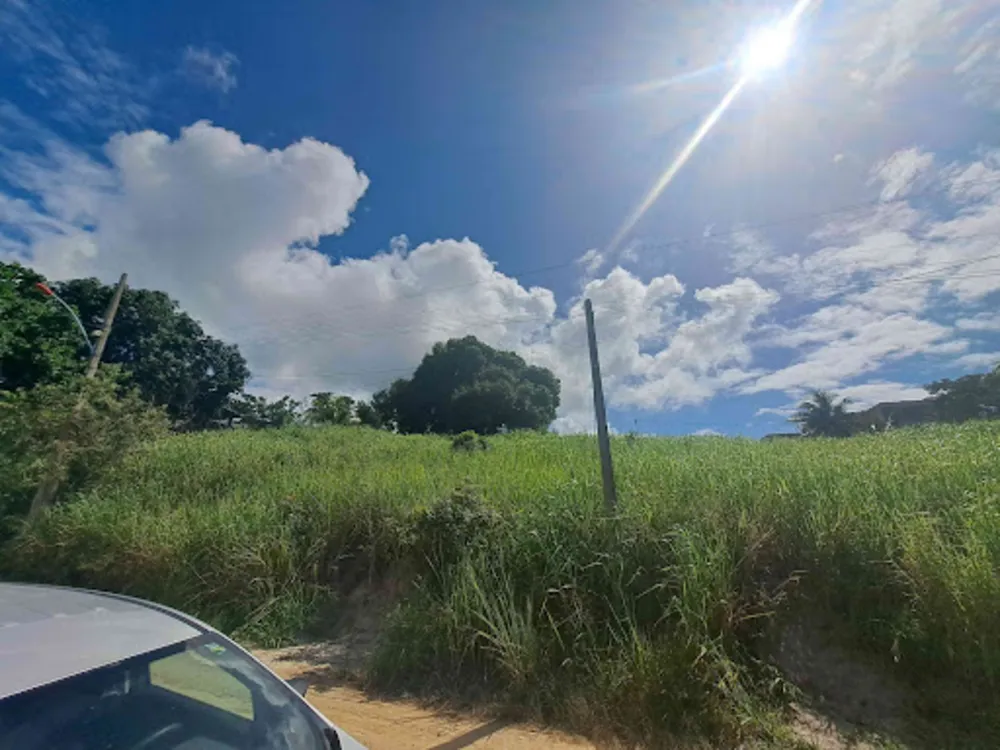 Terreno, 360 m² - Foto 6