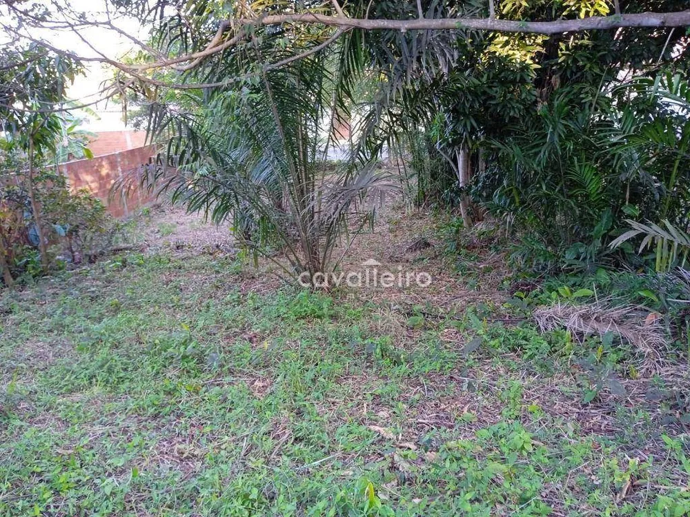Terreno, 600 m² - Foto 3