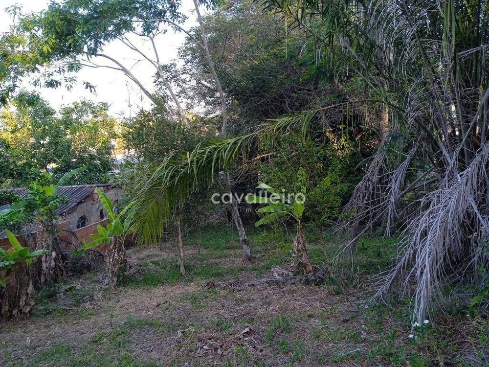 Terreno, 600 m² - Foto 5
