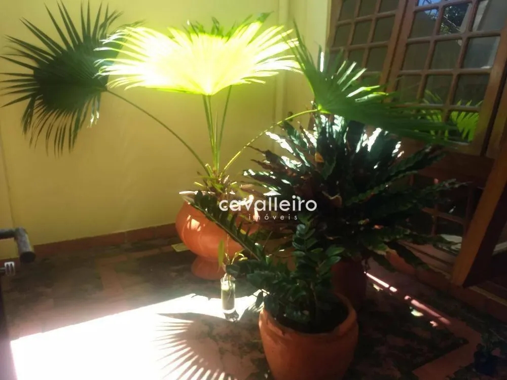 Casa, 6 quartos, 500 m² - Foto 41