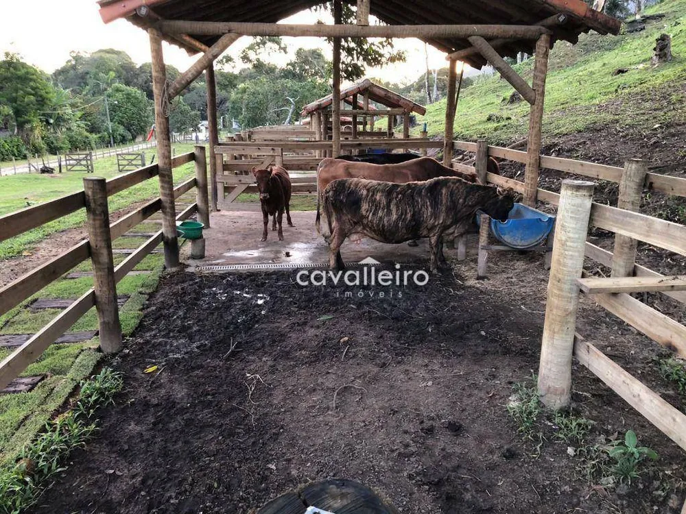 Sítio, 6 quartos, 2 hectares - Foto 26